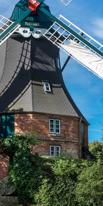 Windmuehle Meldorf HEI