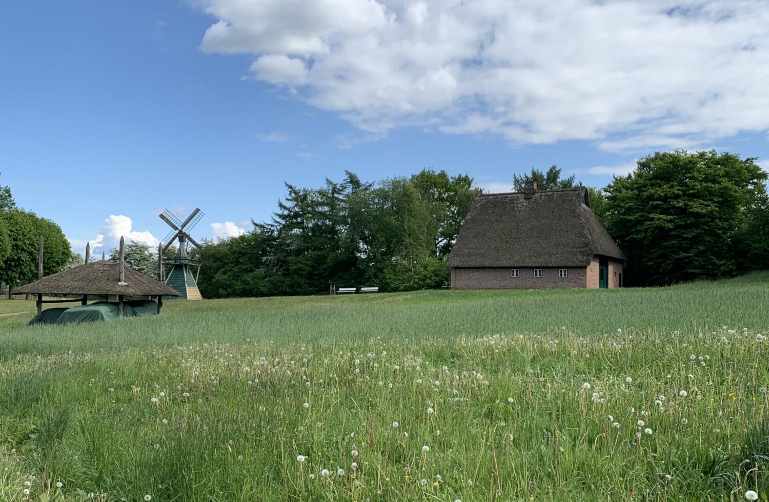 Mitgliederversammlung am 18.5.2025 in Molfsee